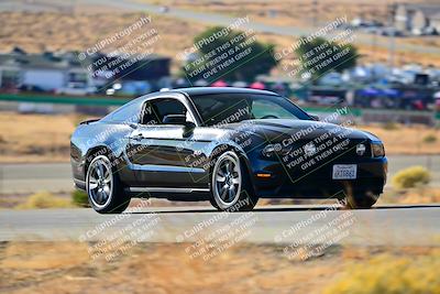 media/Nov-16-2024-Extreme Speed (Sat) [[6587d07cc4]]/Gold Group/Session 1 (Turn 2)/